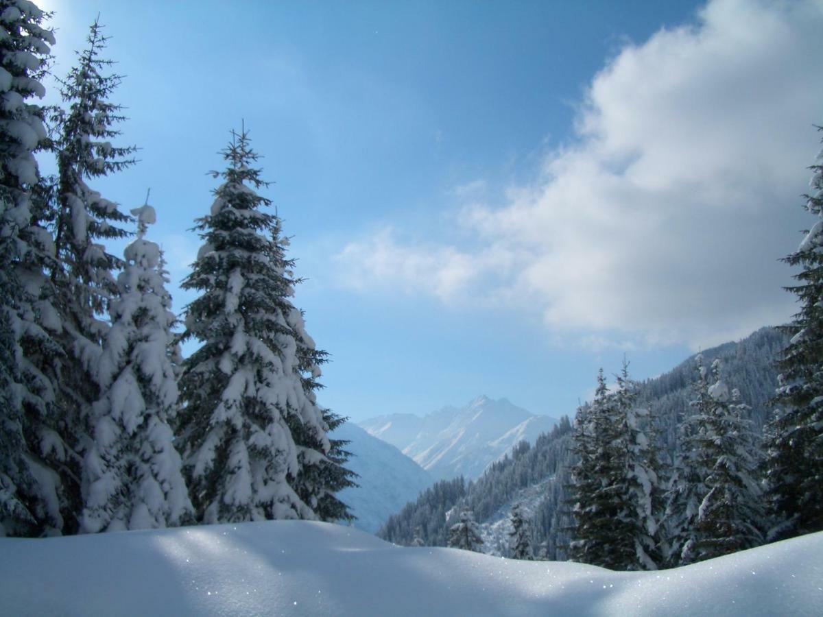 Haus Alpina Daire Häselgehr Dış mekan fotoğraf